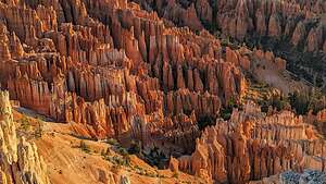 Sunrise hitting the tips of the hoodoos